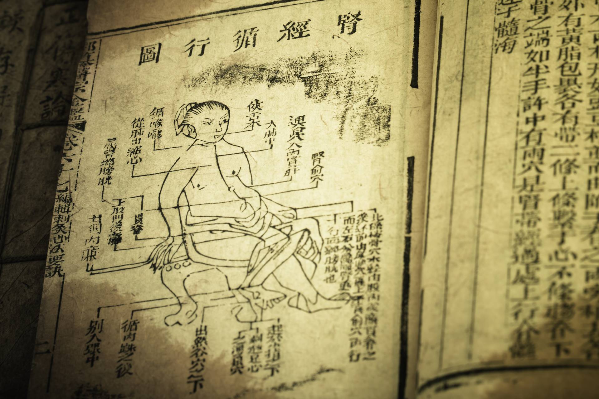 Old medicine book from Qing Dynasty